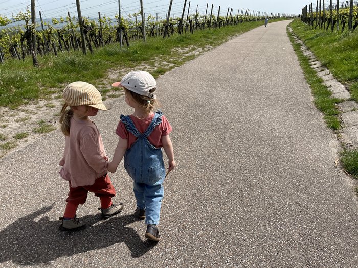 Zwei kleine Kinder halten Händchen und laufen gemeinsam einen sonnigen Weg zwischen Weinbergen entlang.