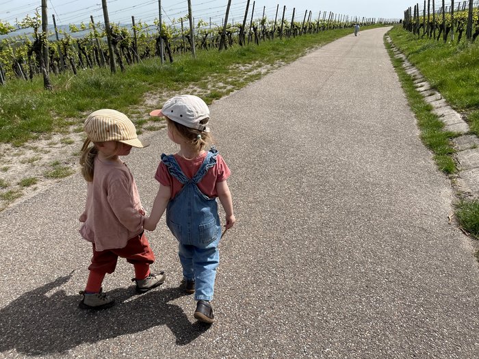 Zwei kleine Kinder halten Händchen und laufen gemeinsam einen sonnigen Weg zwischen Weinbergen entlang.