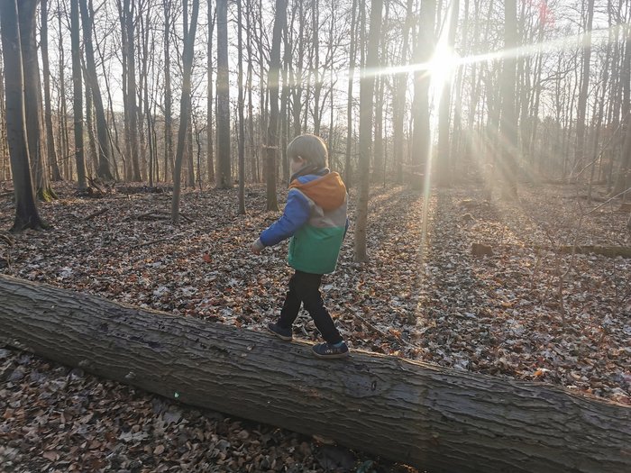 Ein kleiner Junge balanciert auf einem umgefallenen Baumstamm im herbstlichen Wald, während die Sonne durch die kahlen Bäume scheint.